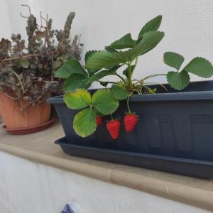 Giove Casa Vacanza Agrigento