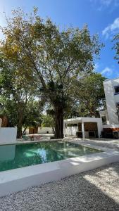 Nido BY puerto morelos