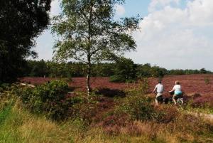 Verblijf in de Veluwe met Privé sanitair LL54