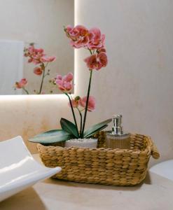 Nido BY puerto morelos