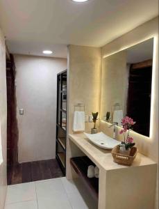 Nido BY puerto morelos