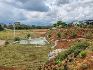 Apartamento una habitación - Guaria