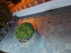 Apartamento Praia Grande - Aviação - 100m da praia