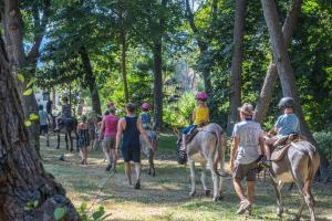 Villages vacances Camping Merendella : photos des chambres