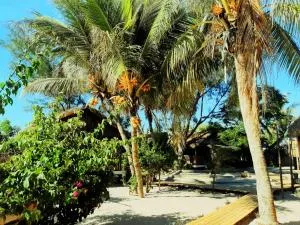 Les flamboyants MV - Andranomena