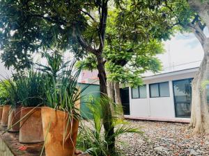 Departamento con terraza en el Centro -Costa-
