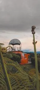 ligm - 里奥内格罗