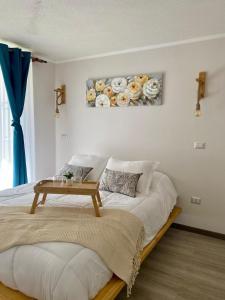 Distrito Verde La Serena