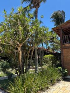 Apart Hotel pet friendly - Geribá