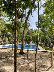 Departamento Mayamor 3 BDR, Selvanova