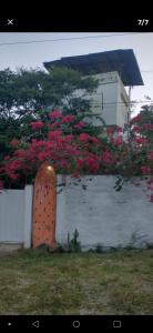 Loft Chacara Perô natureza