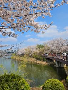 수원 Late check-out, Haenggung, Suwon trip, family trip, couple, close to Seoul 3성급 숙소 로비