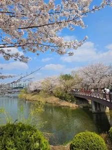 Late check-out, Haenggung, Suwon trip, family trip, couple, close to Seoul - Uiwang