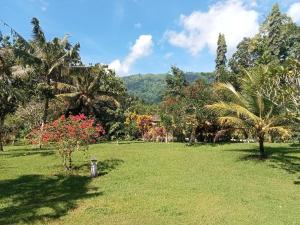 Guesthouse Rumah Senang