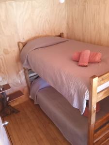 Cabañas Aliwen Lonquimay