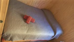 Cabañas Aliwen Lonquimay