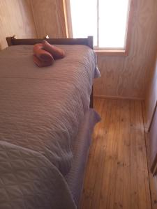 Cabañas Aliwen Lonquimay