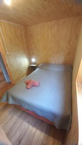 Cabañas Aliwen Lonquimay