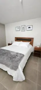 Departamento Altos de San Miguel - 马乌莱