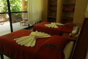 Canto de la Selva Jungle Lodge Selva Lacandona Chiapas