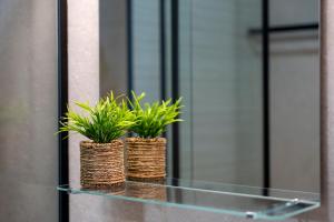 Luxury Zlatibor Aria