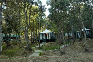 Buransh Luxury Tent Retreat in Majkhali
