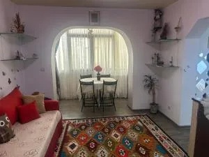 Ingrid home 3 camere - Vatra Dornei