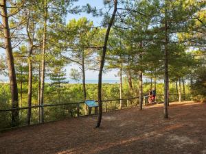 Maisons de vacances Maison vintage proche foret avec parking, animaux acceptes - FR-1-652-15 : photos des chambres