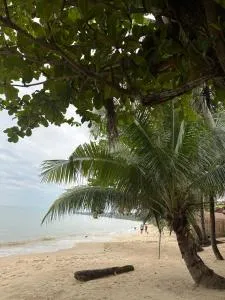 Noah's Ark Beachfront - Amphoe Koksamui