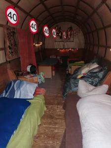 Traum im Pferdewagen für die Durchreise