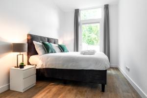 Fast WiFi, vibrant home, 10 min from Efteling