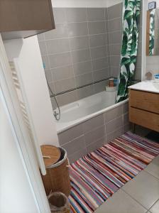 Magnifique T3 spacieux au calme à Castelnau Le Lez