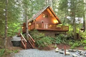 Snowline Cabin 98 A pet friendly cabin with a wood stove, hot tub and wifi - Deming