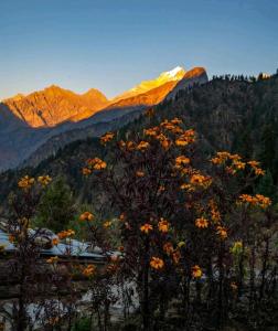 New Bhavishya Badri Homestay