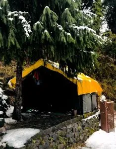 All Night Camping Manali - Duff Dunbar
