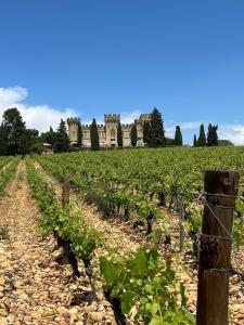 Maisons de vacances Sublime Mas de Lou a 15 minutes d-Arles : photos des chambres