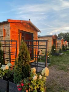 Glamping Ptasia Przystań Rumiana Dolina