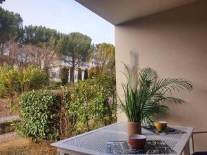 Appartements Appartement T2 climatise Piscine : Appartement 1 Chambre