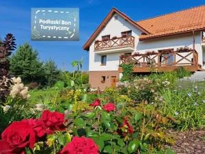 Willa Polesie - 比亚沃维耶扎