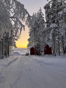 Cozy and comfortable cottage, Levi Lapland