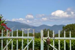 Les Chênes verts - Grillon