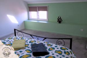 Appartements Cook 3 : Studio