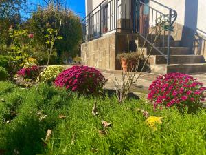 Guest House “Anchetata”