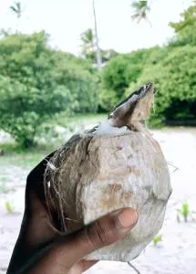 Ushongo Beach Cottages - Ushongo Mtoni