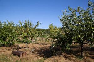 Campings La Dorepontaise ROULOTTE : photos des chambres