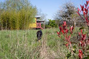 Campings La Dorepontaise ROULOTTE : photos des chambres