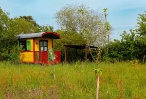 La Dorépontaise ROULOTTE - Sigalens