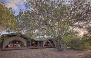 Kicheche Laikipia Camp