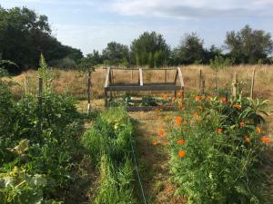 Campings La Dorepontaise ROULOTTE : photos des chambres