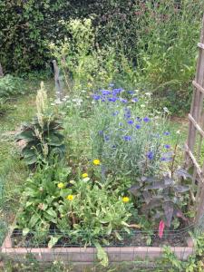 Campings La Dorepontaise ROULOTTE : photos des chambres